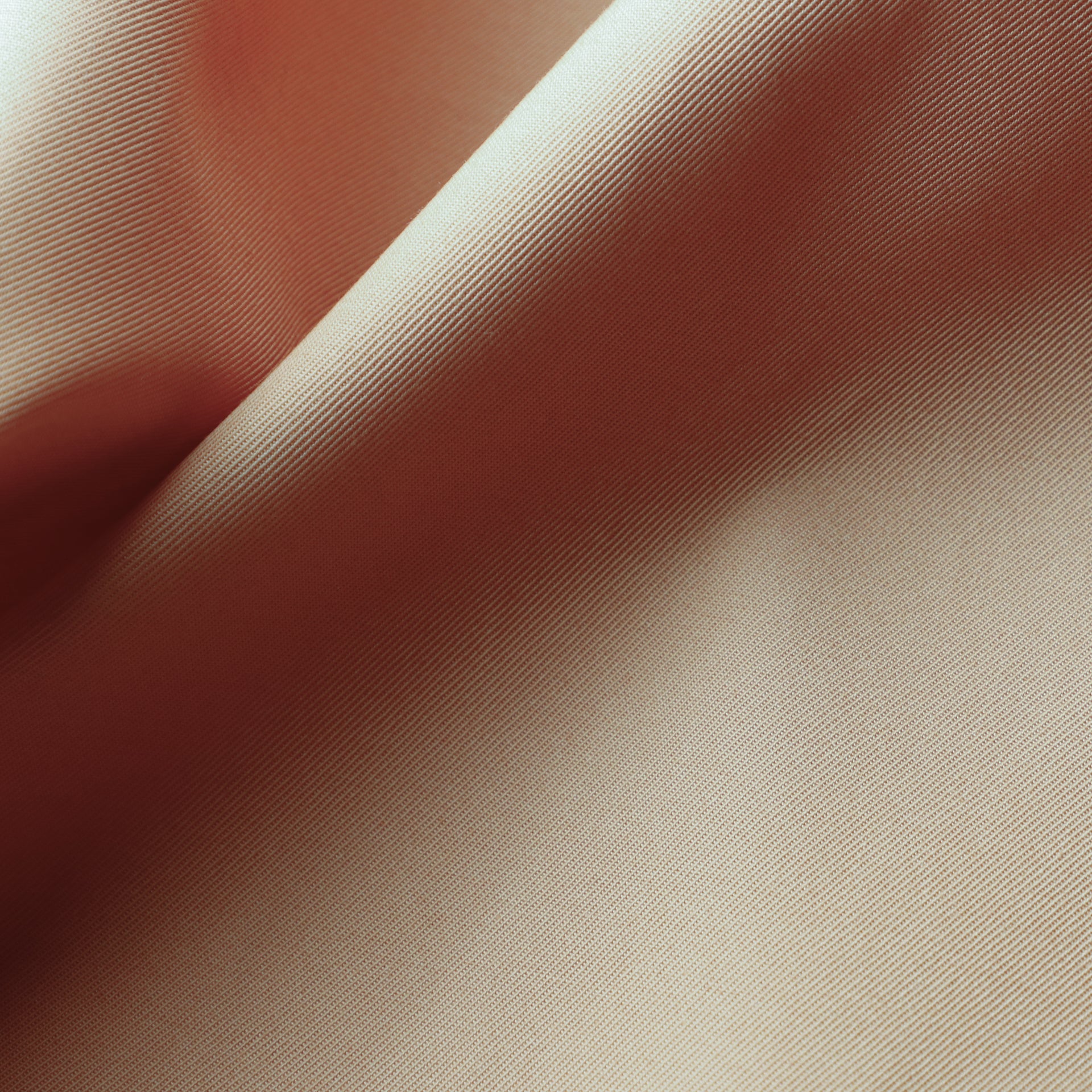 INDIA 60/2 バーバリー[012S0013780] | STYLEM FABRIC STORE