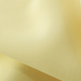 PP