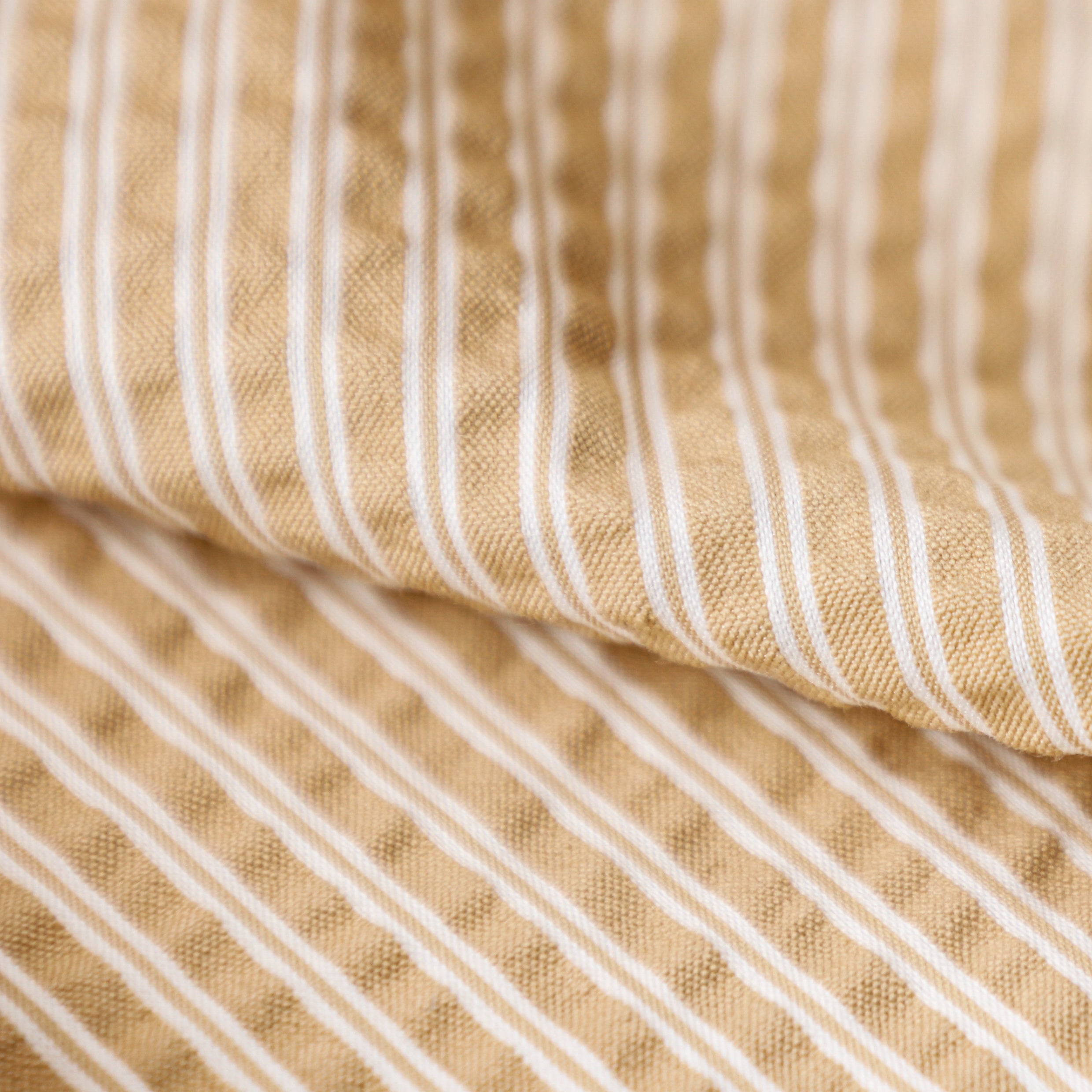 C/NサッカーストライプSt.[023S0052084] | STYLEM FABRIC STORE