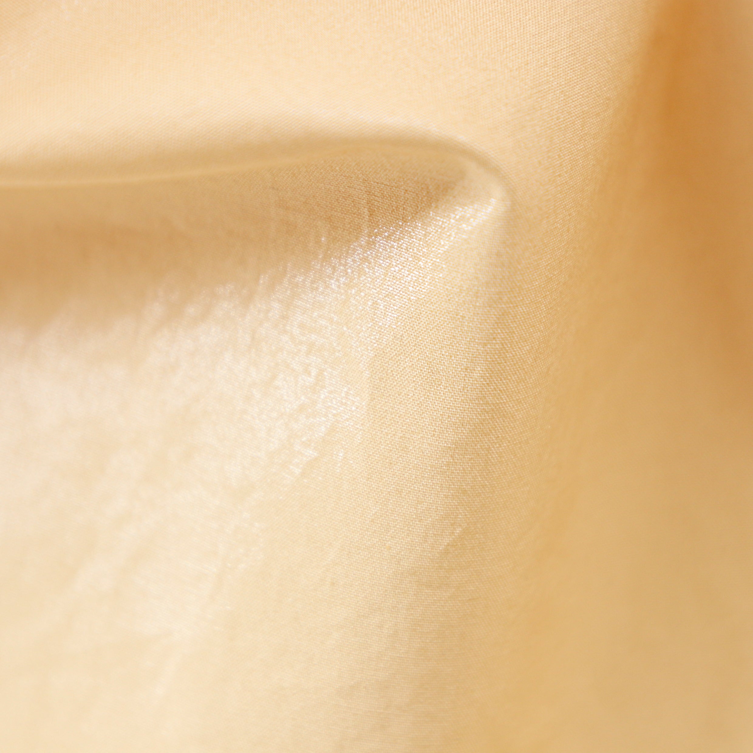 0830KFT9372_B.jpg?v=1668057957