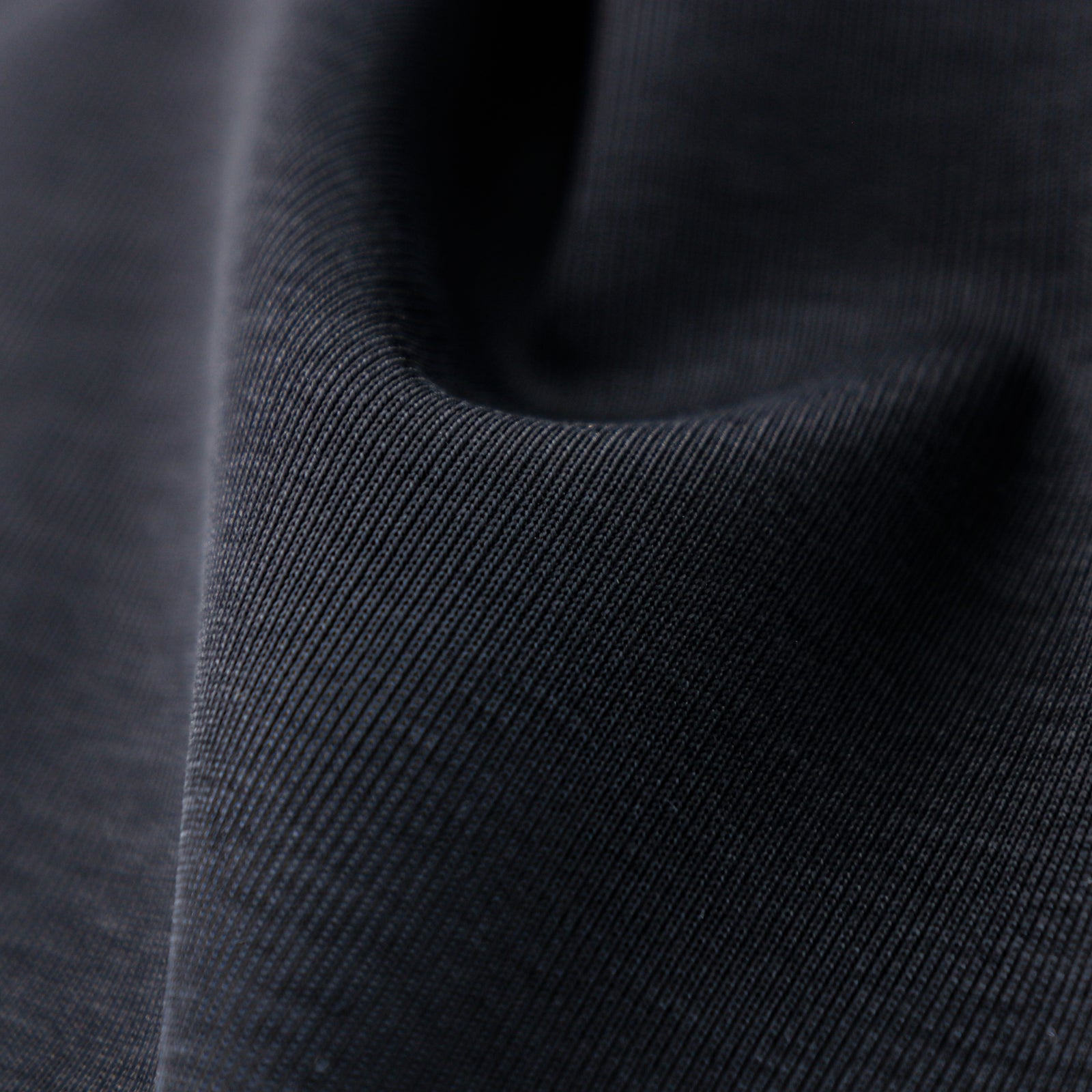 ITADAKI 88/2FISCO®ﾌﾗｲｽ[027P0001710] | STYLEM FABRIC STORE