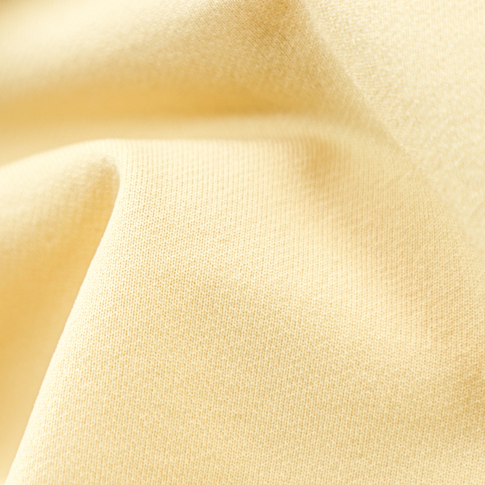 PBT裏毛[007P0080070] | STYLEM FABRIC STORE
