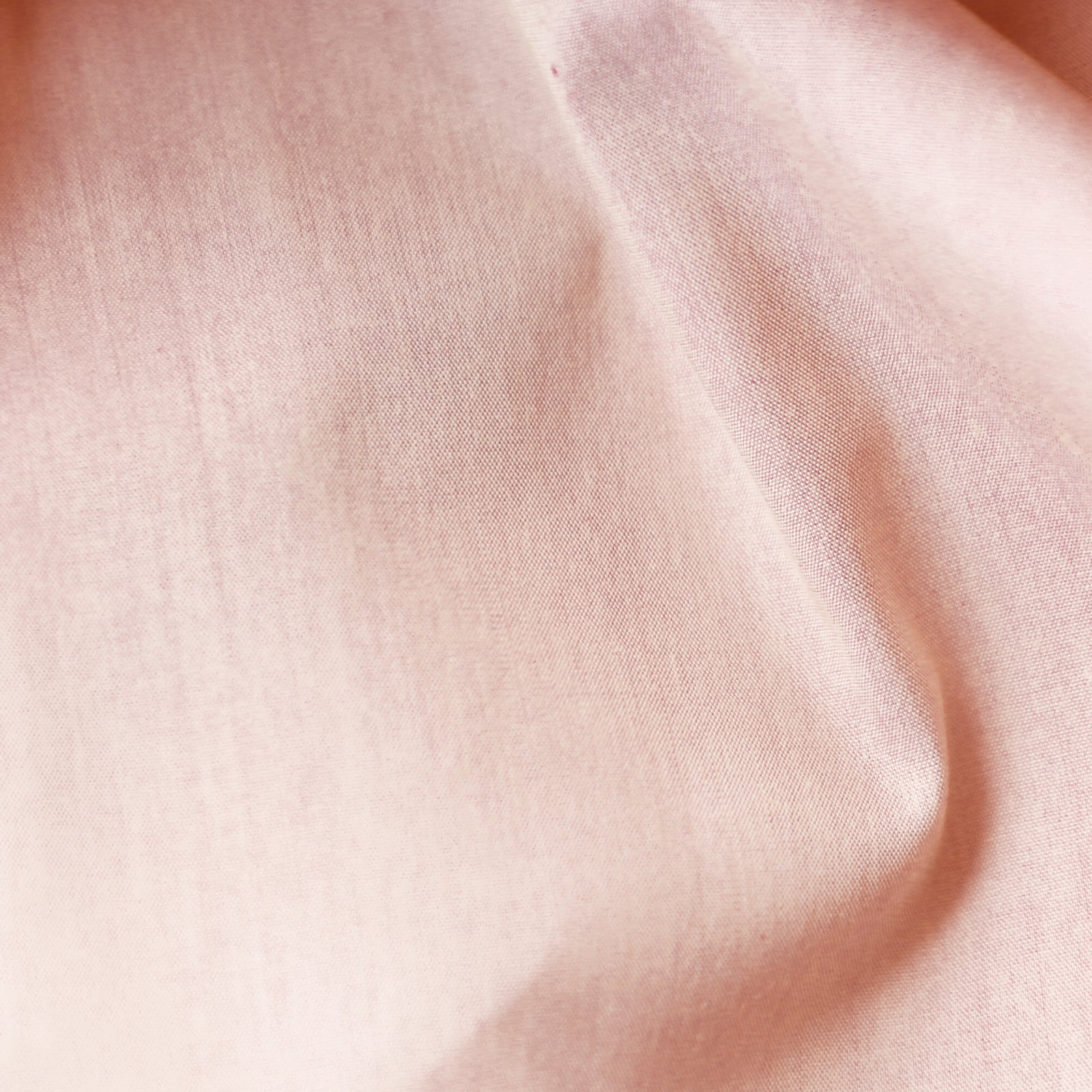 COE】TC高密度シルキータイプライター[016S0070117] | STYLEM FABRIC STORE