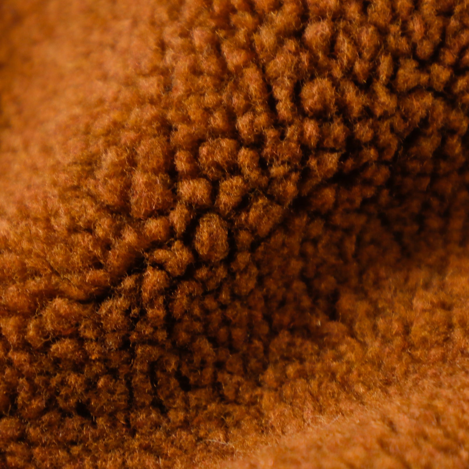 COE】JESI Boa[02100099050] | STYLEM FABRIC STORE