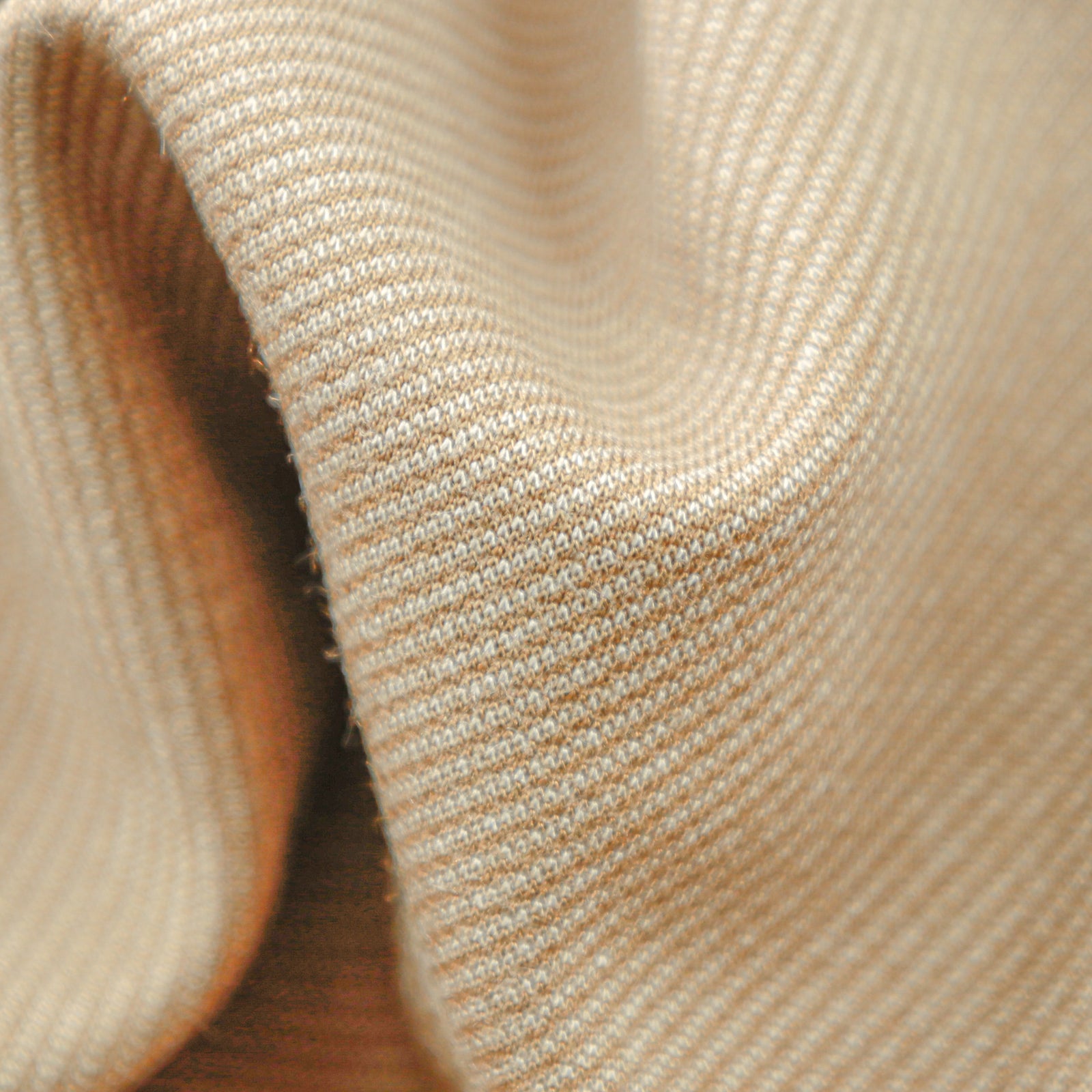 08500011154_B_1600x.jpg?v=